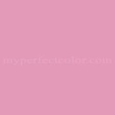 Porter Paints 10240 5 Strawberry Flip