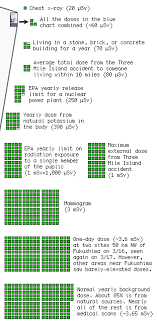 Radiation Exposure Chart Rem Www Bedowntowndaytona Com