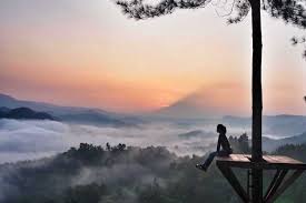 Wisata Alam Bukit Pentulu Indah Kebumen Tempat Wisata Jika kaitanya dengan liburan ini. wisata alam bukit pentulu indah kebumen