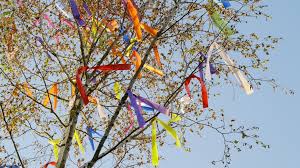 Zum echten covis 19 oper wurde bereits im vorfeld der maibaum in. Brauchtum Ein Maibaum Fur Die Liebe Bayernkurier