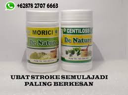 Keladi tikus penawar kanser paling mujarab. Ubat Strok Kejang Saraf Paling Berkesan Selamat Terbukti Sembuh Kekal Obat Pembesar Payuda