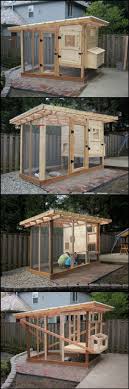 Geflugelarten Zucken In 2020 Chicken Coop Designs Hintergarten Hinterhofhuhner