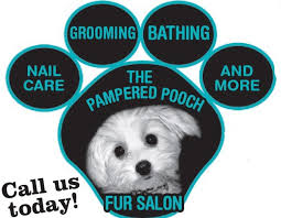 Maybe you would like to learn more about one of these? Pet Boarding Pet Services Antelope Valley 2019