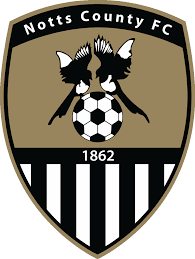 Competed in the fa premier league (known as the fa carling premiership for sponsorship reasons). Notts County F C Fifa Football Gaming Wiki Fandom
