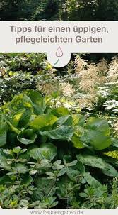 Pin Auf Terassegartenhofbalkon