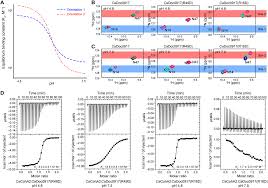 We did not find results for: Discovery And Mechanism Of A Ph Dependent Dual Binding Site Switch In The Interaction Of A Pair Of Protein Modules Science Advances