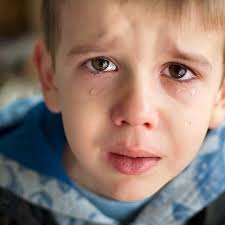 Larimer Law LLC (@larimerlawllc) • Instagram photos and videos