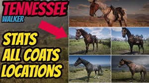Red Dead Redemption 2 Tennessee Walker Location All Coats Stats Good Horse Guide