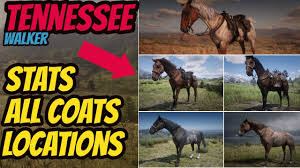 red dead redemption 2 tennessee walker location all coats stats good horse guide