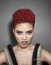 If you choose one of these hairstyles, you will not have to spend so much time on styling your afro. 260 Afro Caribbean Ideas Hair Styles Natural Hair Styles Hair Beauty