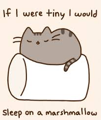 Pusheen The Cat Photo Pusheen Pusheen Cat Pusheen Funny Cute