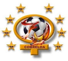 We did not find results for: 17 Ideas De Cobreloa Zorro Arte De Zorro Zorros Dibujo