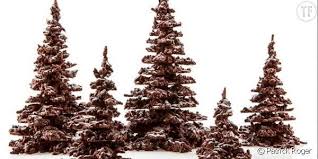 E M6 Recette Du Sapin En Chocolat Amandes De Patrick Roger Chocolat Noel Rose Des Sables Chocolat Decoration Chocolat