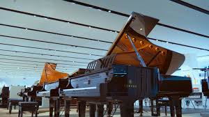 Profile for Derby Yamaha Music School