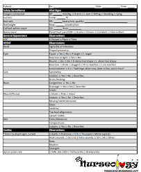 head to toe assessment checklist home health nurse