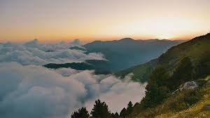 Meski terkesan sulit, mengutarakan perasaan yang telah lama dipendam menjadi salah satu cara untuk segera membebaskan diri. 25 Caption Alam Dalam Bahasa Inggris Yang Keren Banget 2021 Poskata