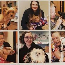 Maybe you would like to learn more about one of these? Veterinarians In Modesto Yelp