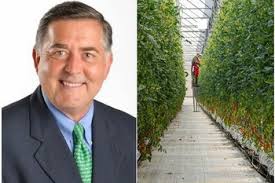 FreshPlaza: Global Fresh Produce and Banana News