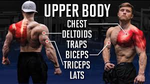 the best full upper body workout for