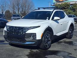 Image result for Blue Stone 2024 Santa Cruz