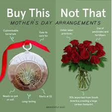 Best anniversary flowers & gifts, congratulations flowers, international women's day flowers, mothers day flowers, need it today, summer flowers. The Story Of Stuff Project Zerowastetip Americans Spend 34 3 Billion On Flowers Annually All Of Which End Up In The Trash Or Composted At Best Within Two Weeks Of Purchase With