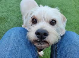 ❤️❤️❤️❤️❤️❤️❤️❤️❤️❤️❤️❤️❤️❤️❤️ UPDATE...