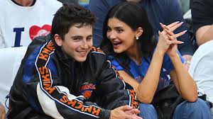 Timothee Chalamet Posts IG Photo Icing Knees After 'Wear and Tear' from Knicks' Playoff Run