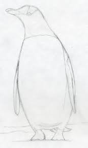 How To Draw A Penguin Is One Of The Easiest Job Penguin Drawing Monochromatic Art Pencil Drawings Easy