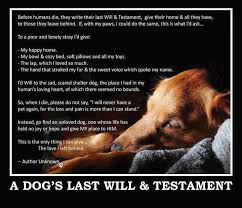 Pet loss at home mn. Mourning A Pet Quotes Quotesgram