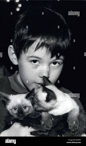 Jan 1968 hi-res stock photography and images