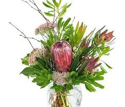 Posh Protea In Sheridan Wy Flower Delivery Get Well Flowers Protea Flower