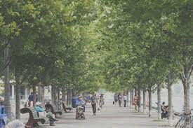 Scientists don't know what causes visual snow syndrome for sure but it appears to be a complex neurological disorder.5﻿ studies have shown that people with this syndrome have a brain abnormality in their lingual gyrus—a structure in the back of the brain in the occipital lobe.6﻿ since visual pathways converge in the occipital lobe, experts suspect that an abnormality in vision processing is the mechanism behind visual snow syndrome.7﻿ more specifically, the nerve cells in the brains of people with visual snow syndrome may be overly responsive to visual stimuli. Visual Snow Seeing The World As If It Is A Static Filled Analog Tv The Star