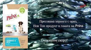 Zoolife Bg Prins Petfoods Blgariya Home Facebook