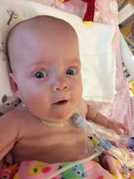 Good morning Kilties , some exciting news for my family , am now great  grandmother to twin girls who were born last week , like this wee lad when  i went in