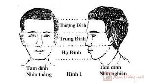 Xem tướng Tam đình trên mặt