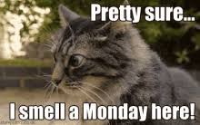 Image result for good morning monday funny images gif