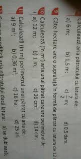 Mai întâi obținem conversia picioarelor în metri. Exercitiul Nr 10 Pag 216 Calculeaza In Metri Patrati Aria Unui Patrat Care Are Perimetrul De Brainly Ro