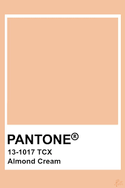Pantone Almond Cream In 2019 Pantone Pantone Colour