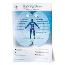 Download millions of videos online. Large Biofield Anatomy Map Back Anatomy Nursing Notes Map