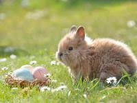 How to know when easter is. When Is Easter Sunday 2021 How Easter S Date Is Determined The Old Farmer S Almanac