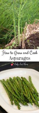 4.3 out of 5 stars. How To Grow Asparagus Pineca Cute766