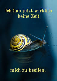 Ich Hab Jetzt Wirklich Keine Zeit Mich Zu Beeilen Witzige Karten Spruche Echte Postkarten Online Versenden
