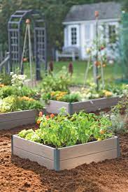 Stackable Corner Joints For Raised Beds Gardeners Com Backyard Vegetable Gardens Vegetable Garden Design Vegetable Garden Raised Beds