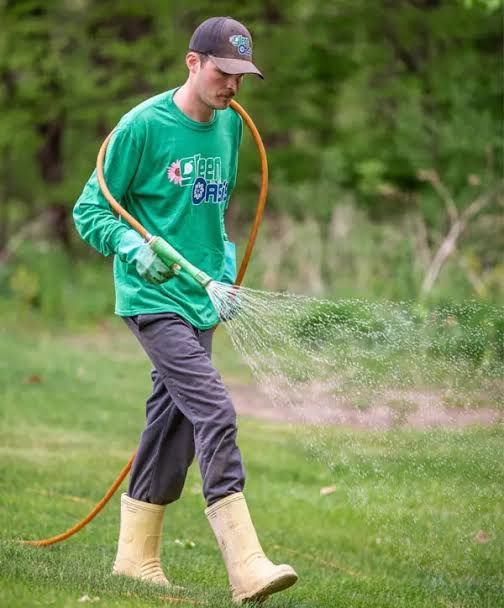 Lawn Care: Our Step-by-Step Service Process