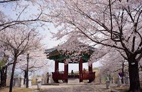 Alasan korea selatan jadi tempat tinggal ideal republika online. Pemandangan Indah 5 Lokasi Liburan Di Korea Selatan Yang Wajib Dikunjungi