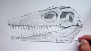 How To Draw A Mosasaurus Skull Easy Danny The Dinosaur Drawer Youtube How to draw maisie mosasaurus from dinosaur train. how to draw a mosasaurus skull easy danny the dinosaur drawer
