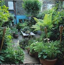 Small Jungle Style Gardens From Moon To Moon In 2020 Small Garden Design Jungle Gardens Small Cottage Garden Ideas
