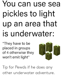 There is about a one in six chance for sea pickle colonies to spawn in any given. You Can Use Sea Pickles To Light Up An Area That Is Underwater They Have To Be Placed In Groups Of 4 Otherwise They Won T Emit Light Tip For Pewds If He