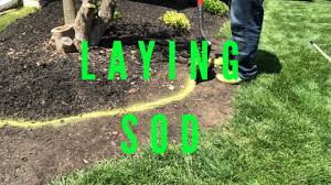 When laid properly sod appears to be almost seamless. Laying Sod Around A Mulch Bed Redefining Edging Youtube