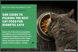 Kale is super dietary food but is it safe for cats. 11 Best Cat Foods Lower Carb For Diabetic Cats In 2021